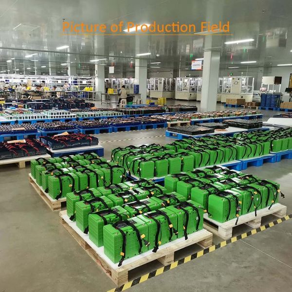 DOD100 Electric Cycle Lithium Battery OEM ODM 60v 20ah Lithium Battery