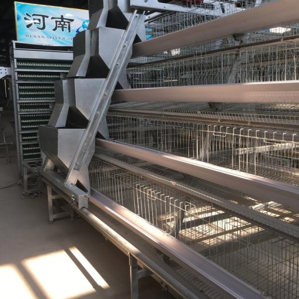 Enhancing Operational Efficiency Poultry Cage for Egg Layer Chicken