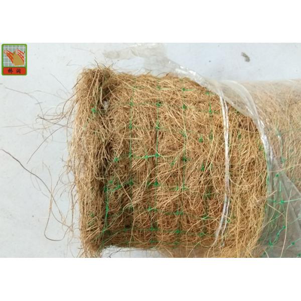 Plastic Netting For Erosion Control Matting , Polypropylene Erosion Control Mesh