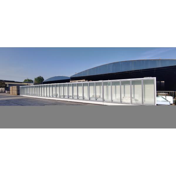 Swinging Glass Door Reach In Remote Wall Merchandiser Freezer In White