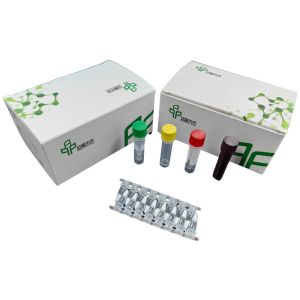 Wholesale Rapid And Reliable Pigeon Group A Rotavirus Livestock Disease Kit from china suppliers