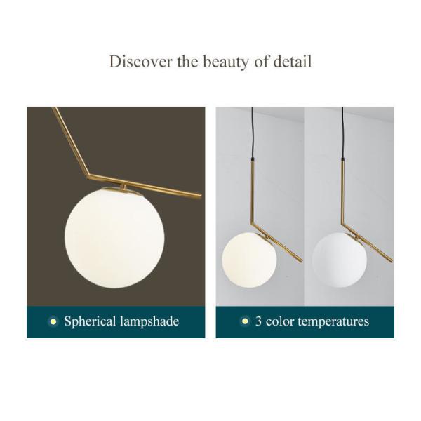 Decorative Single Head Led Pendant Ceiling Lights For Hotel / Home
