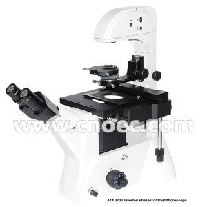 Infinity Objective Inverted Optical Microscope Phase Contrast Microscope Bright