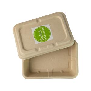 Wholesale Molded Sugarcane bagasse Throw Away Meal Prep Containers , Biodegradable Salad Boxes from china suppliers
