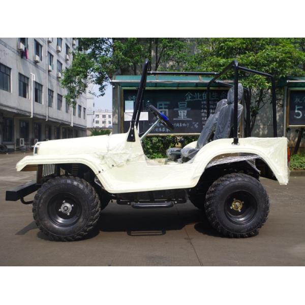 4 Storke CVT with Reverse 150cc UTV Buggy with Ce (JY-ATV020)