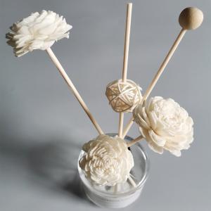 Wholesale Home Fragrance Preserved Reed Diffuse Dried Sola Flower Reed Diffuser with Cotton Wick from china suppliers