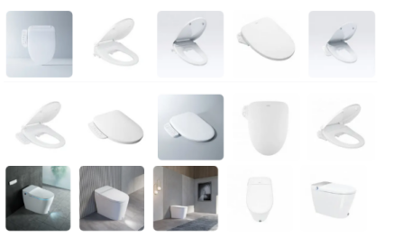 Polypropylene Material Bidet Seat Cover with Double Nozzles and Soft Close for Sanitary Ware