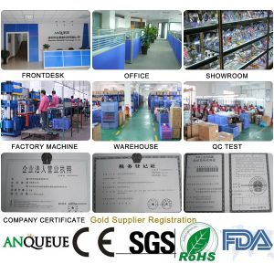 ANQUEUE Technology Co.,Ltd