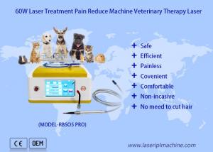 Wholesale 980nm Diode Veterinary Laser Therapy For Pets Wound Healing from china suppliers