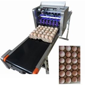 Convenient Moving Egg Code Printing Machine With Personalized Integration Frame