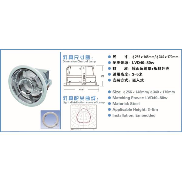LVD Downlight | Low-frequency induction lamp |Office Downlights
