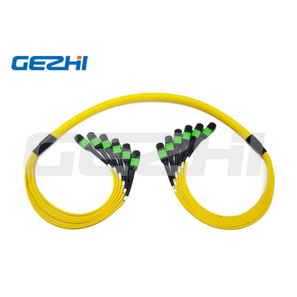 MPO / APC Fiber Optic Trunk Cable 24 Core 48 Core Sm Ofnp