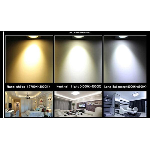 The high-end commercial lighting double LED trunk lamp 2*10W