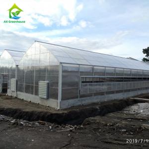 Wholesale 1.2g/Cm2 Anti Snow Greenhouse Polycarbonate Sheets 6mm Twin Wall Polycarbonate Panels from china suppliers