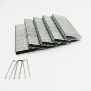 16GA N Series Staples N staples N10-N21