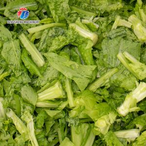 Bubble washing vibration air drying production line Orange Vegetable Herbs Fruit