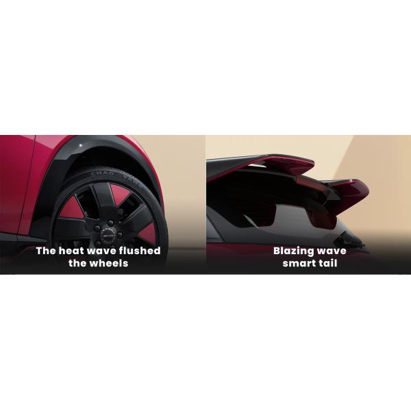 AWD BYD Dolphins EV All Electric Vehicle PHEV Custom