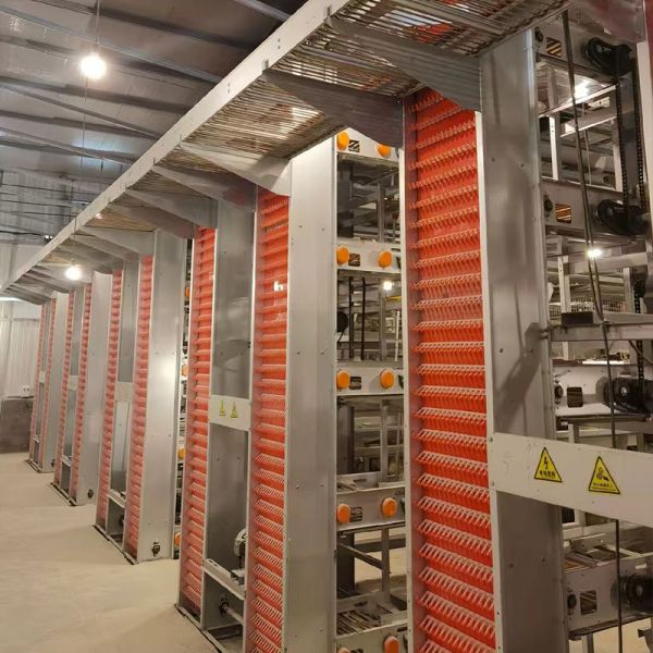 H Type 20000 Capacity Battery Layer Egg Chicken Cage with Automatic Cleaning Belt and Egg Collection System and Feeding System