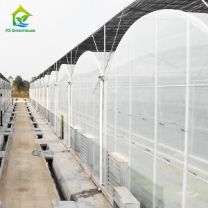 Wholesale Plastic Film Greenhouse For Vegetables from china suppliers