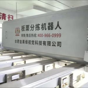 Wholesale High Accuracy 304 Stainless Steel Chestnut Sorting Machine with 6-12 lanes+8 outlets: Reliable Quality, Lasting Durability from china suppliers