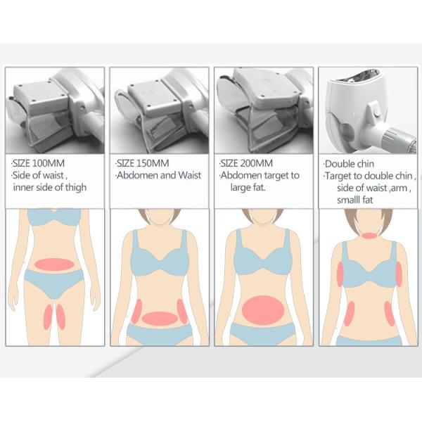 4 Handles Type Extracorporeal Shock Wave Therapy Machine , Cryolipolysis Machine For Home Use