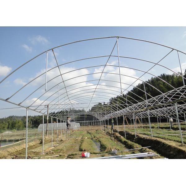 Insectproof Multi Span Greenhouse Sunshading Net For Flower Growing