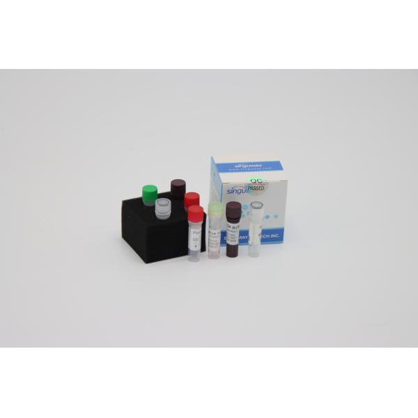 Laboratory Multiplex Fast Real Time RT PCR Detection Kit Reagents For Sars Virus Detection