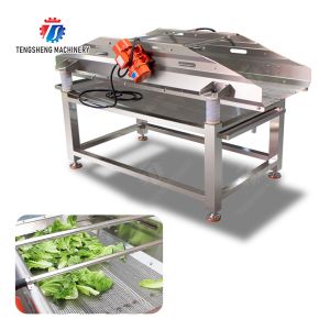 Vibration Air Dryer Vegetable Fruit Leaves Vegetables Saiko persimmon Ginger