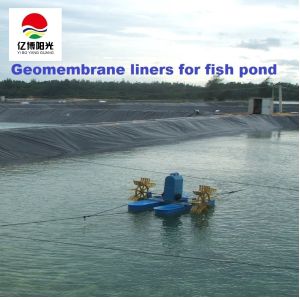 1m-8m Width Long Service Life HDPE Geomembrane for Aquaculture Pond Liners