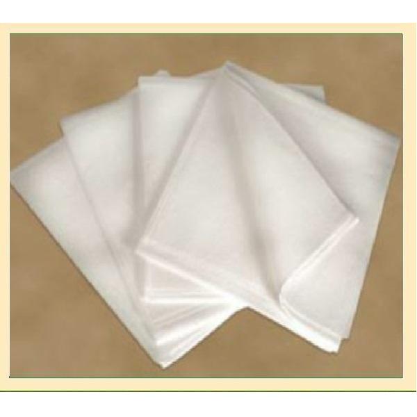 Non Woven PP Disposable Waterproof Sheet Protector For Exam Table / Couch In Roll