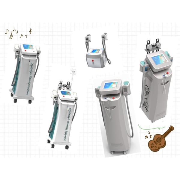 2014 Newly-released!!! The most featured Cryolipolysis Slimming Equipment Green Vertical