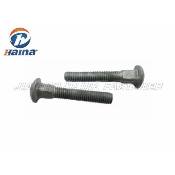 Customized HDG Long Square Neck Large Carriage Head Bolt