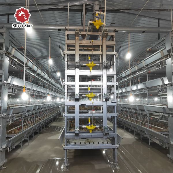 Hot-Dipped Galvanized Steel Fully Automatic Broiler Cage System with 3 or 4 Tiers for Poultry Farming