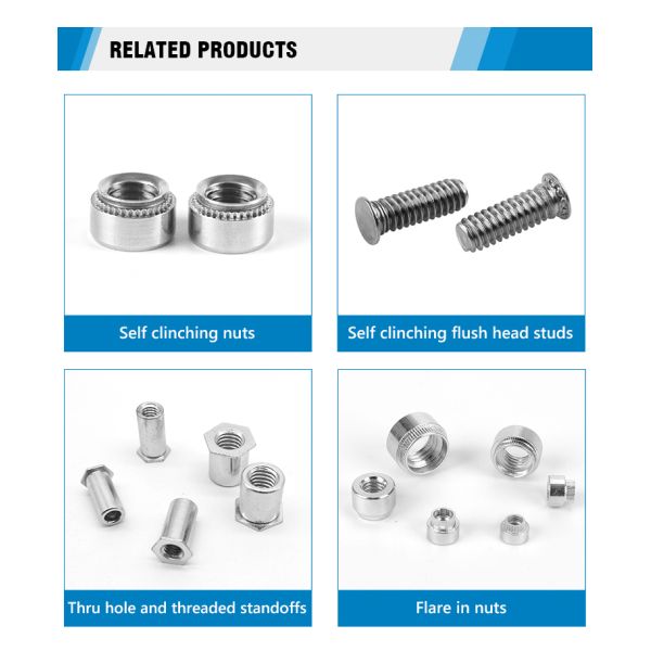 Stainless Steel Standard Fasteners M6 M8 Polished Cylindrical Positioning Pin