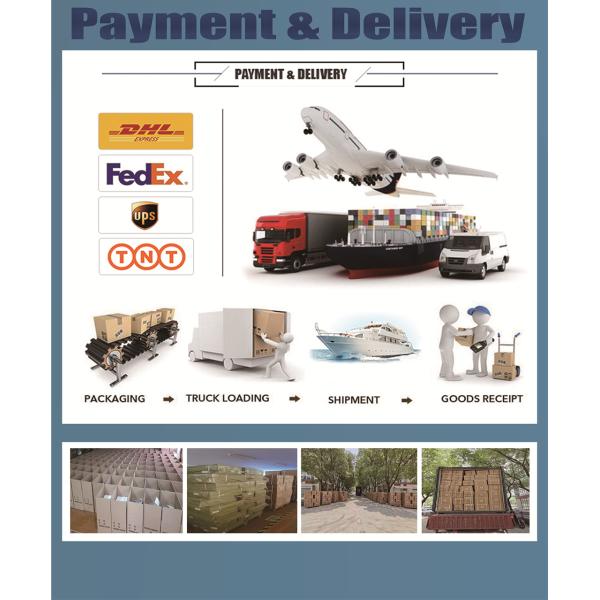 LN-FX01 Autogas CNG LPG Emulator For Petrol Engine Car Conversion Single Point System