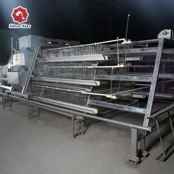 Full Automatic H-Type Layer Chicken Cage with Hot Dip Galvanized Drinkers and Feeders for Poultry Farm