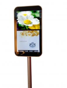 China WI-FI / 3G Available Multifunction Android Kiosk, 22”Fashion display for Advertising with Android System on sale