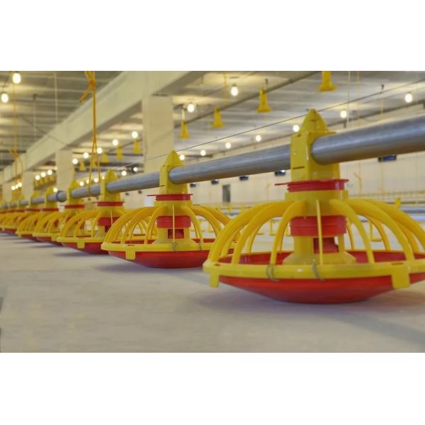Customizable Galvanized Steel Broiler Floor Rearing Equipment with Automatic Supporting Systems for Poultry Farming