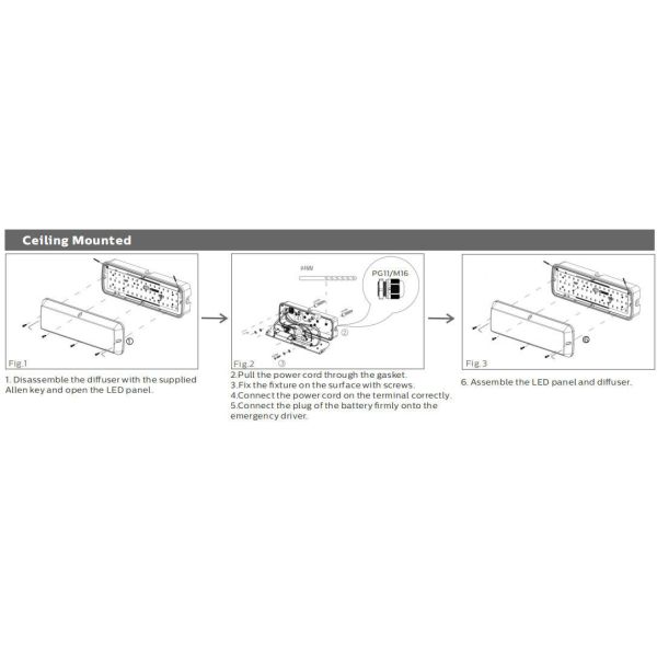 Bulk Head LED Porch Light 8W with 3CCT and Power Switchable multi-function as Emergency Exit Signage with 4 directions