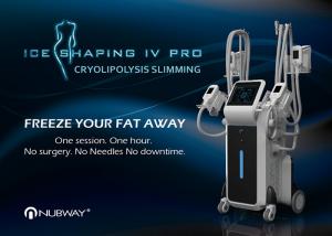 Wholesale beauty cryolipolysis fat freeze slimming machine / 4 cryo handles fat freeze slimmer / cryo lipo system from china suppliers