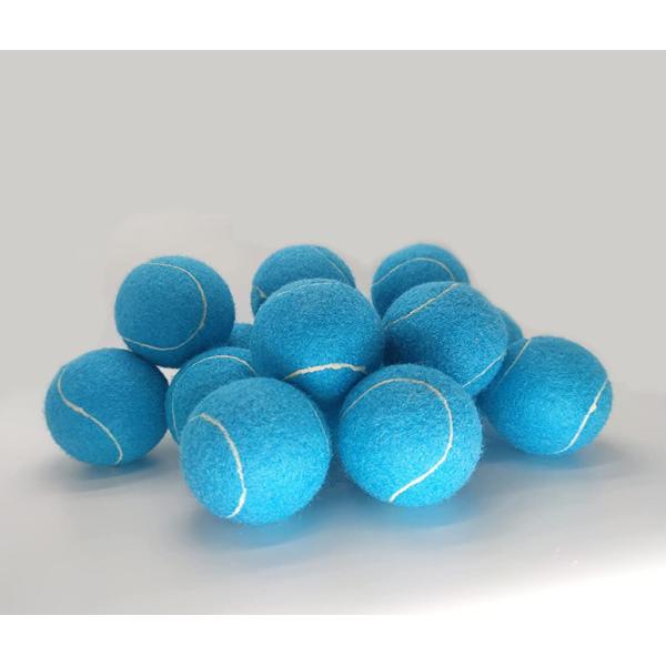 Advanced Training Practice Playing blue tennis balls for Dogs for Beginner Training Ball