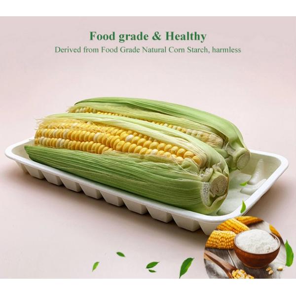 Biodegradable Sushi 231×121mm Cornstarch Trays