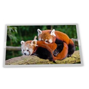 R213RFE-L01 21.3 Inch 2048*1536 WLED LCD Display LVDS LCD Display