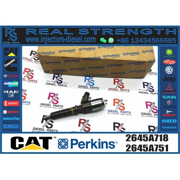 Cat 320d Diesel Inyector Common Rail Fuel Injector 292-3780 2923780 2645A718 For Caterpillar Perkins C6.6 Excavator
