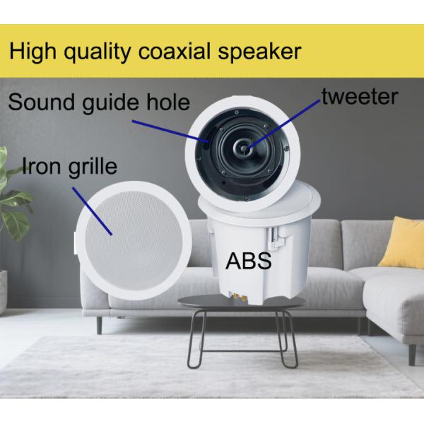 Coaxial Flush Mount Ceiling Speaker 8 Ohm Impedance Waterproof