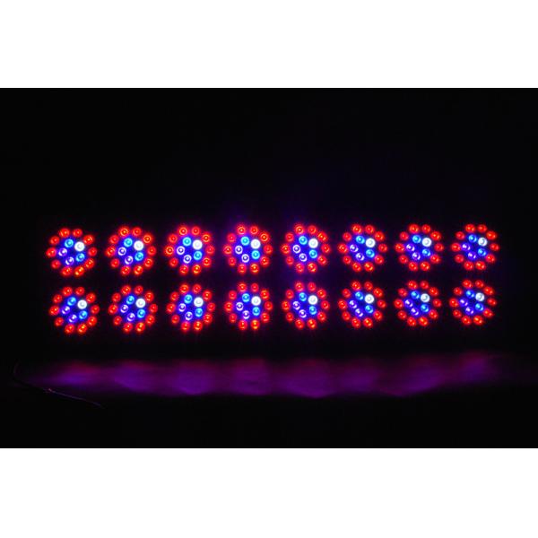cidly 16 led grow light 600w for sales,led plant grow light with full spectrum