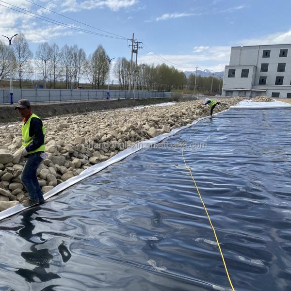 ASTM GRI-GM13 Standard Geomembrane 0.5mm-2.5mm Thickness Durable for Fish Ponds Direct