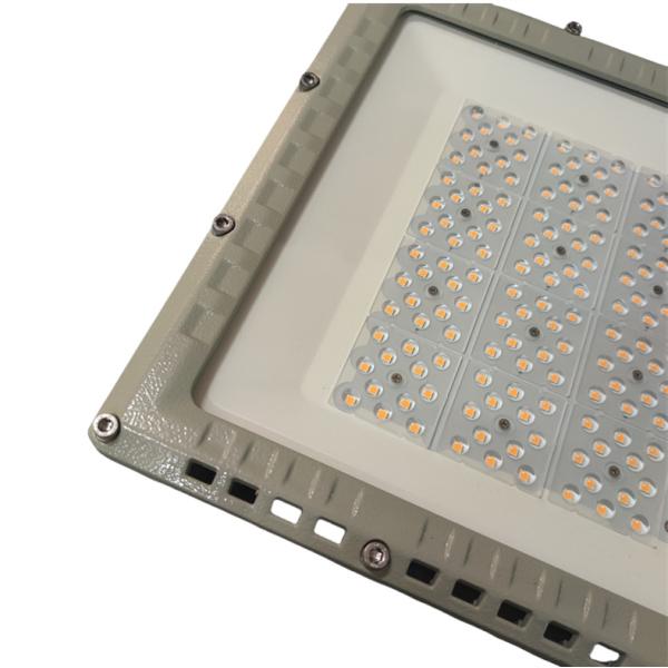 LED Explosion-Proof Floodlight CNEX / IECEx / ATEX Approved Smart Installation Long Lifespan Ideal For Hazardous Work Environments