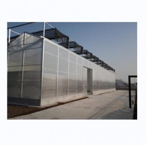 China PC Plastic Polycarbonate Sheet Multi Span Hydroponic Greenhouse on sale