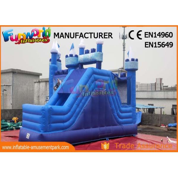 Outdoor & Indoor Forzen Inflatable Bouncer Slide For Advertisement